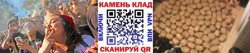 ГАШ гашик  Ворсма 