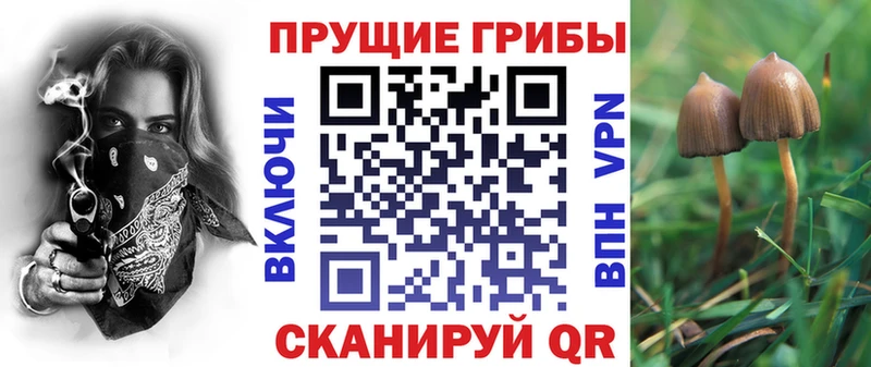 Псилоцибиновые грибы мухоморы Ворсма